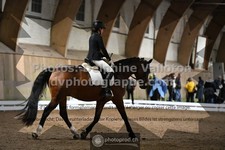 ref. photo 3363538