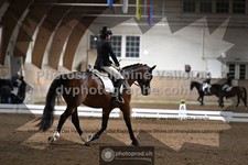 ref. photo 3363539