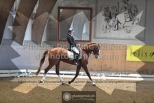 ref. photo 3363627