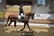 ref. photo 3363648