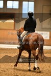 ref. photo 3363664