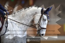 ref. photo 3363696