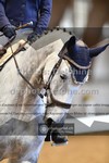 ref. photo 3363743