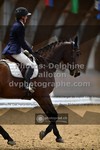 ref. photo 3363795