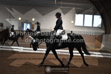 ref. photo 3363904