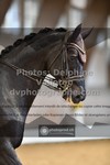 ref. photo 3364015