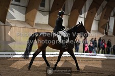 ref. photo 3364080
