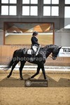 ref. photo 3364100