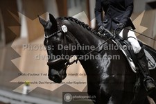 ref. photo 3364132