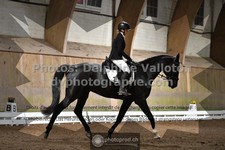 ref. photo 3364133