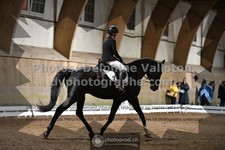 ref. photo 3364152