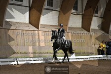 ref. photo 3364153