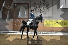 ref. photo 3364164