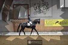 ref. photo 3364169