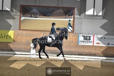 ref. photo 3364181