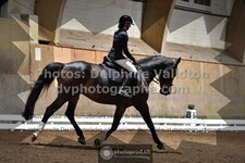 ref. photo 3364212