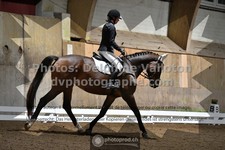 ref. photo 3364301
