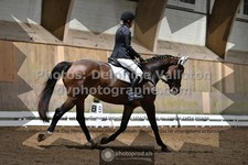 ref. photo 3364302