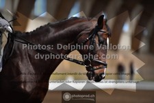 ref. photo 3364448