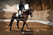 ref. photo 3364456