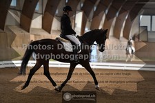 ref. photo 3364463
