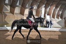 ref. photo 3364558