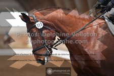 ref. photo 3364630