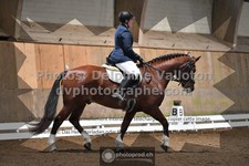 ref. photo 3364648