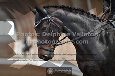 ref. photo 3364696