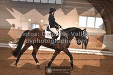 ref. photo 3364703