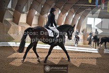 ref. photo 3364713