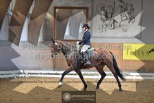 ref. photo 3364731