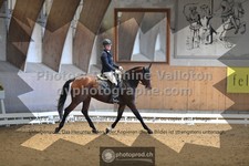 ref. photo 3364733