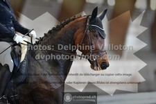 ref. photo 3364742