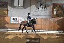 ref. photo 3364743