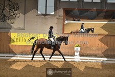 ref. photo 3364771