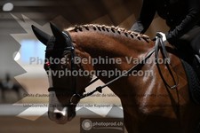 ref. photo 3364796