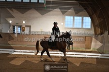 ref. photo 3364806