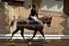 ref. photo 3364810