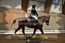 ref. photo 3364811