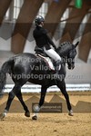 ref. photo 3364849
