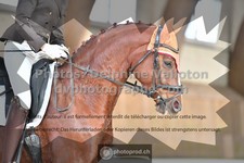 ref. photo 3364887