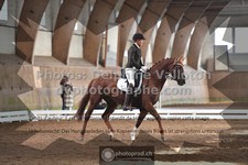 ref. photo 3364888