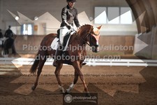 ref. photo 3364898