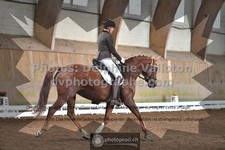 ref. photo 3364905