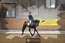 ref. photo 3364927