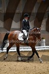 ref. photo 3364958
