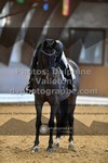 ref. photo 3365071