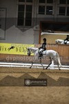 ref. photo 3365180