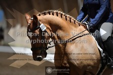 ref. photo 3365294